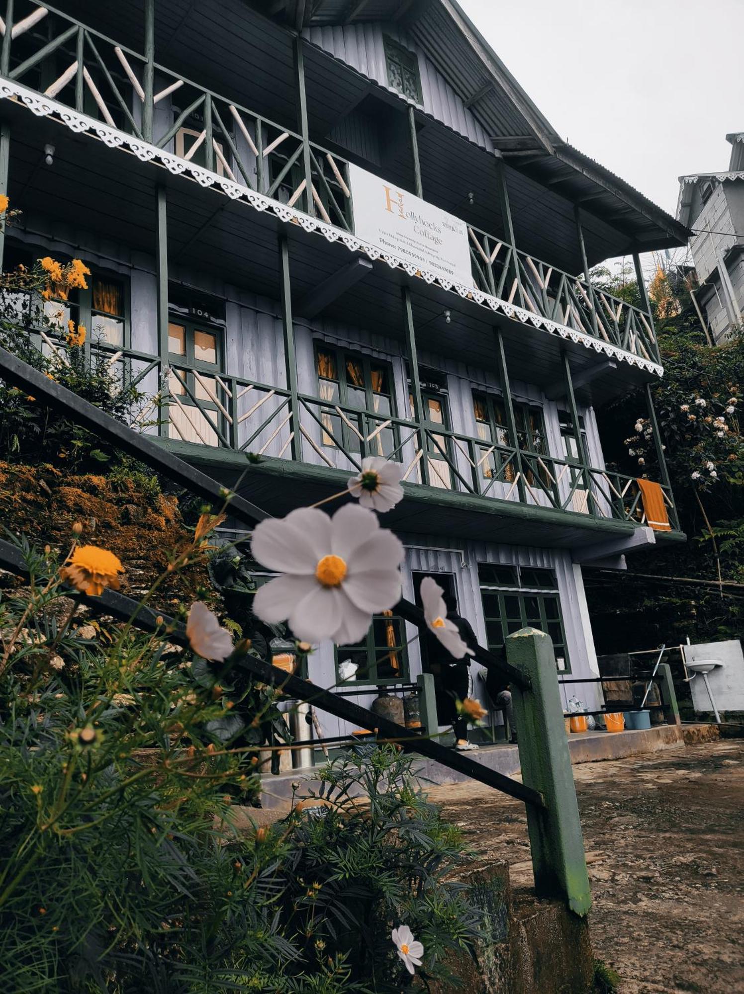 Homestay - Zivaan