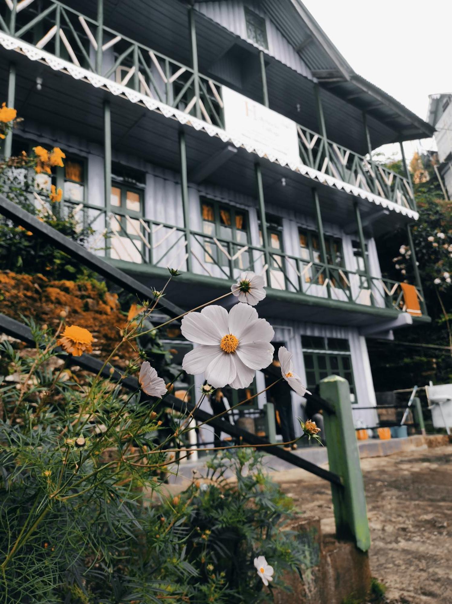 - Zivaan Homestay *
